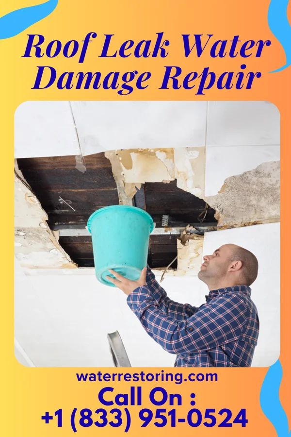 Roof Leak Water Damage Repair in Price, UT